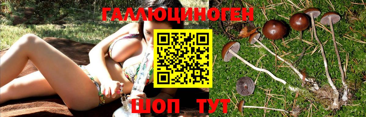 Галлюциногенные грибы GOLDEN TEACHER  Вход с VPN  Белово 